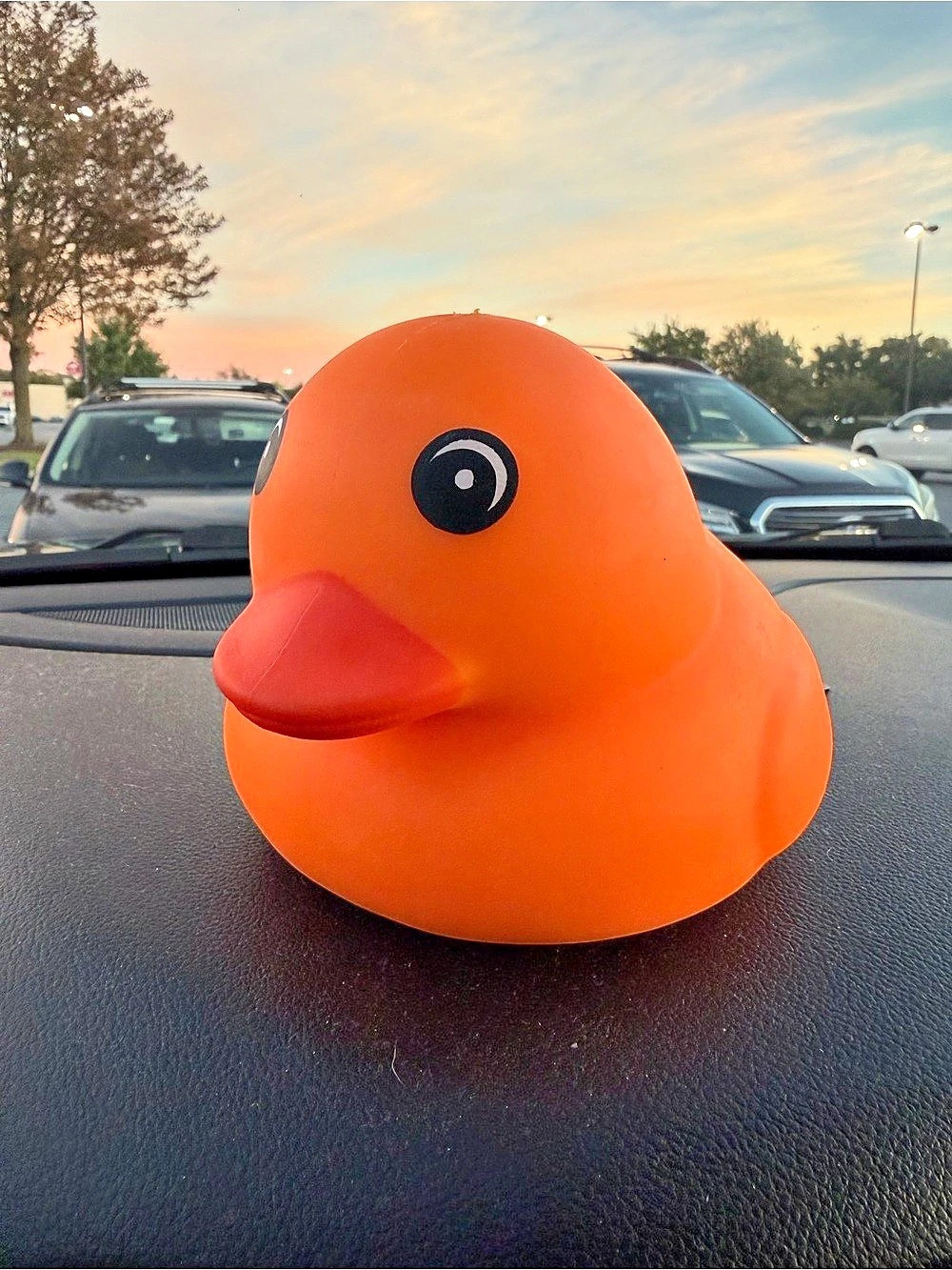 NWT Halloween Squishy Duck Orange Halloween Decor